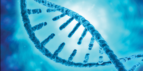 New resource illuminates gene activity in African populations